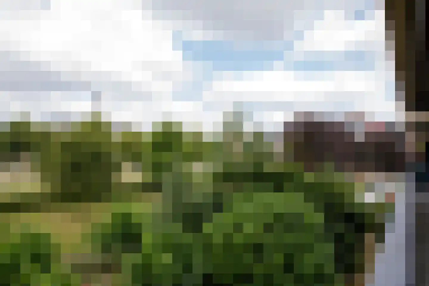 Aalscholversingel 32 Velp thumbnail 12