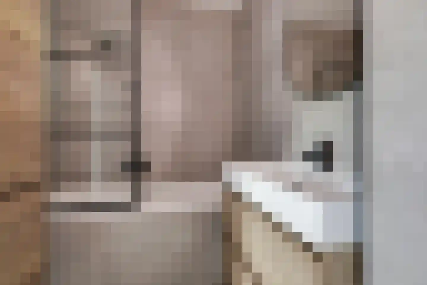 Aalscholversingel 32 Velp thumbnail 13