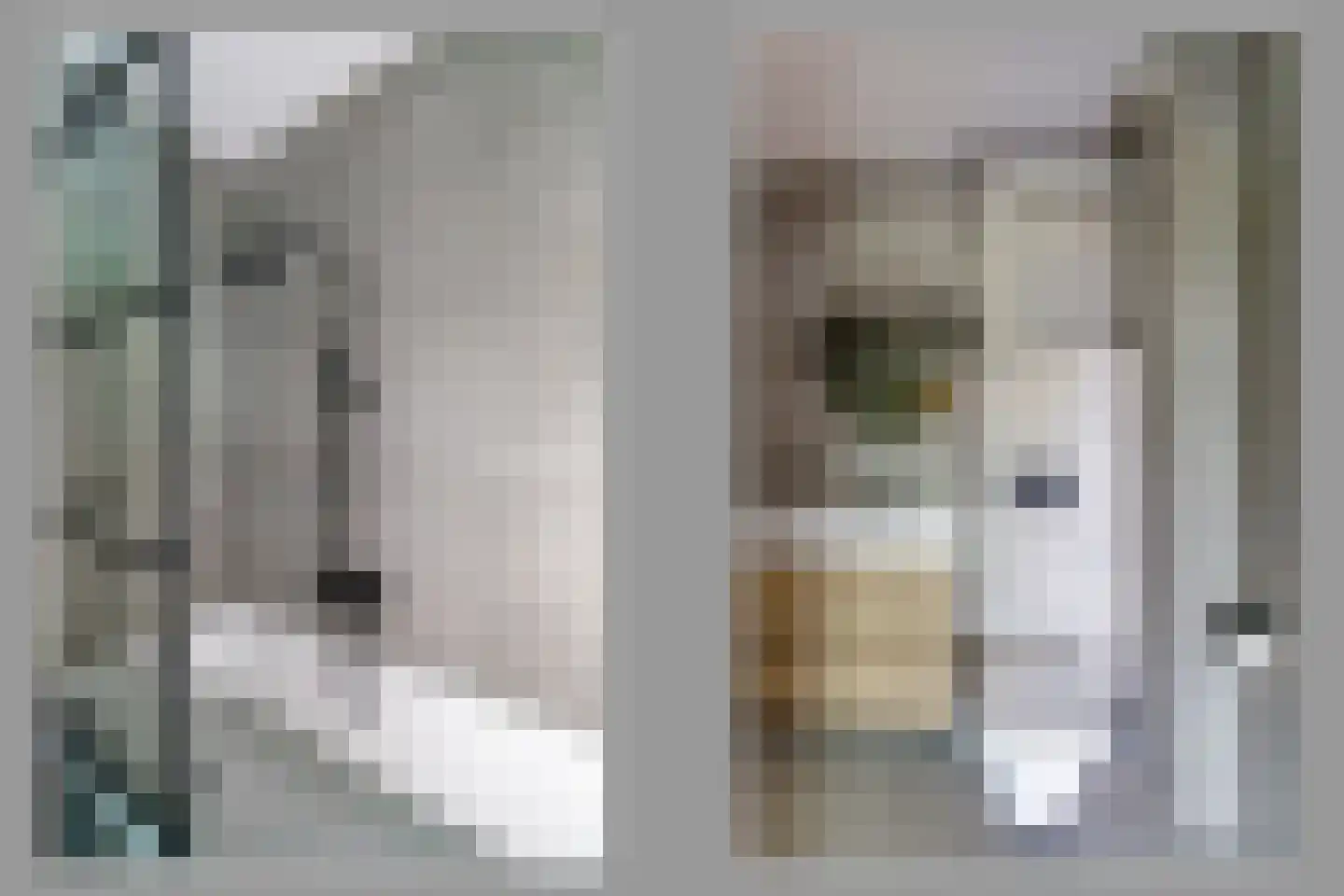 Aalscholversingel 32 Velp thumbnail 14