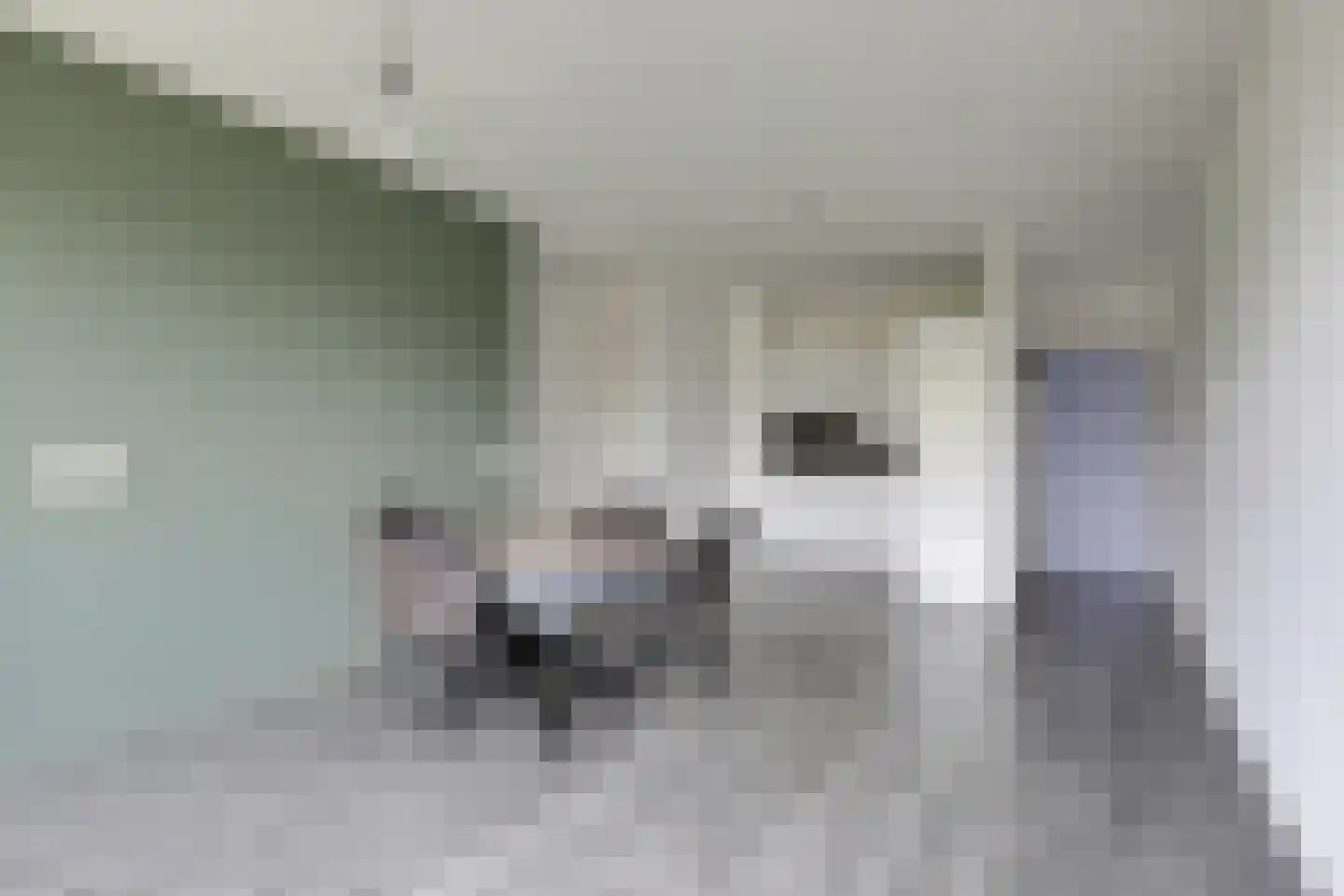 Aalscholversingel 32 Velp thumbnail 5