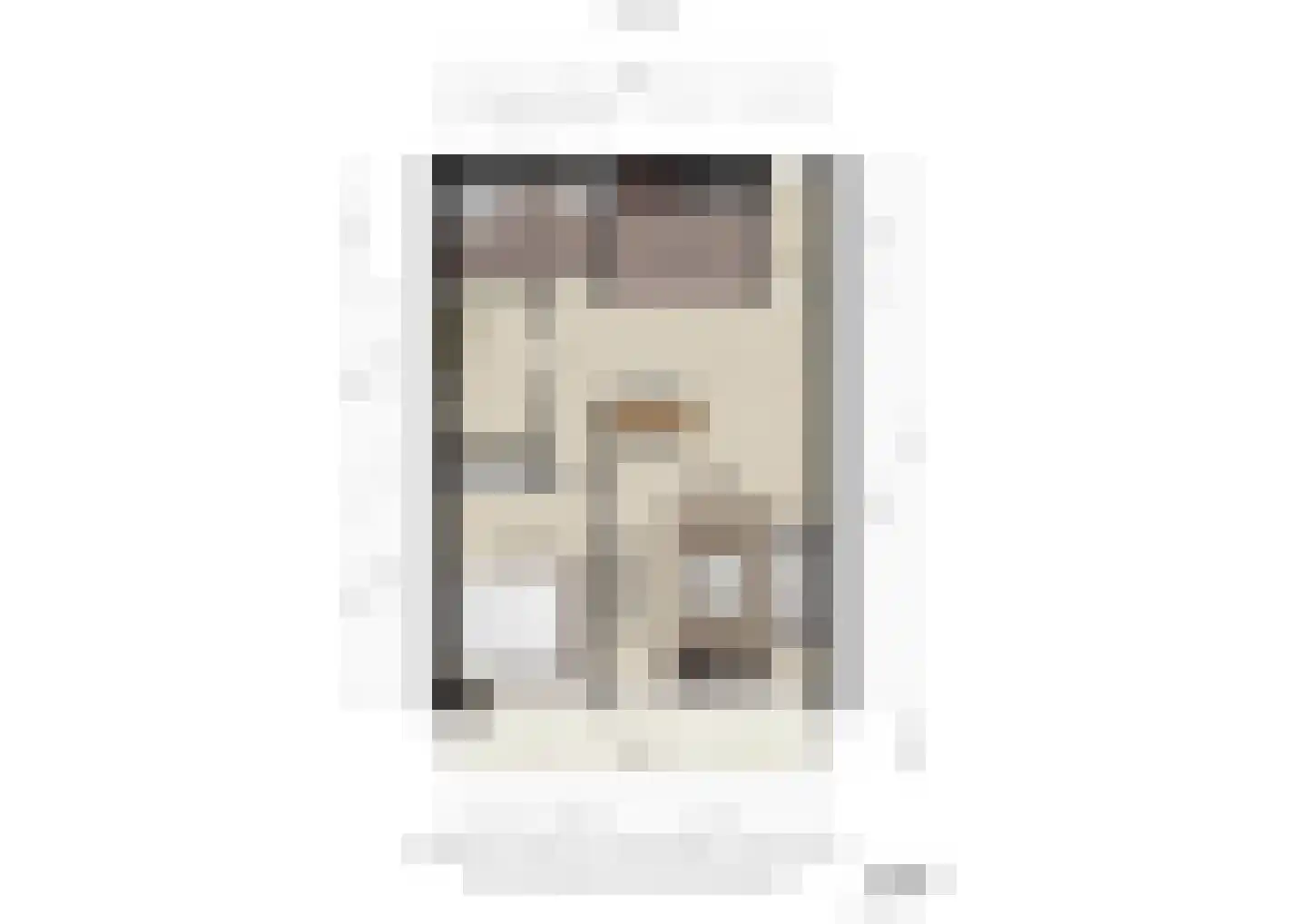 Aalscholversingel 320 Velp thumbnail 23