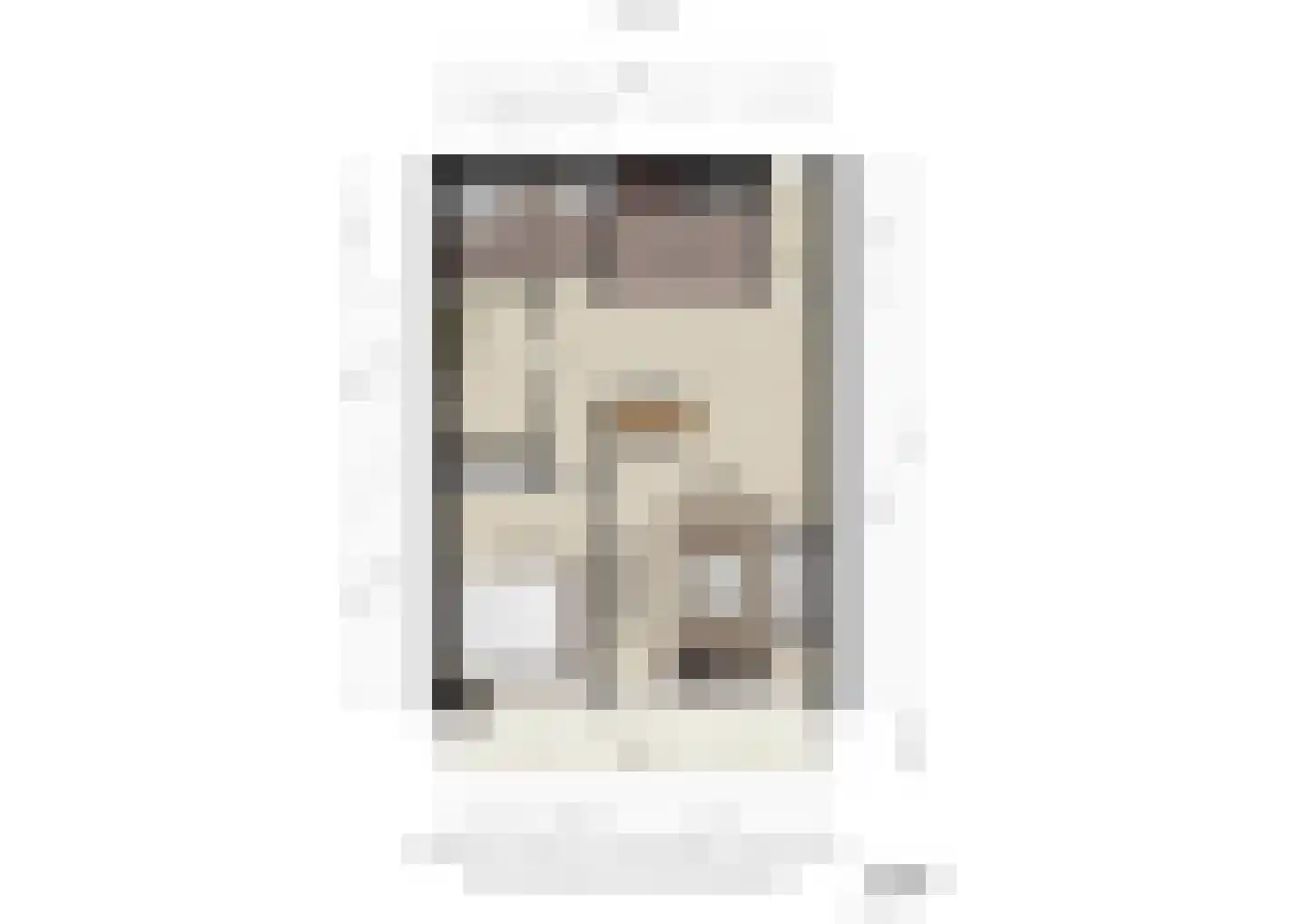 Aalscholversingel 320 Velp thumbnail 34
