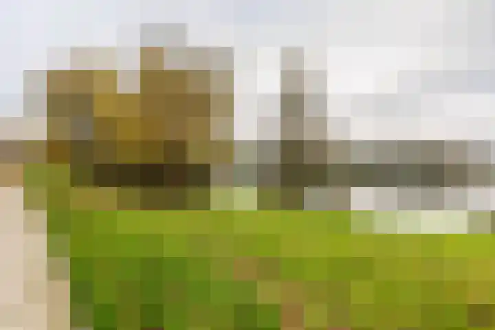 Aalscholversingel 336 Velp thumbnail 25