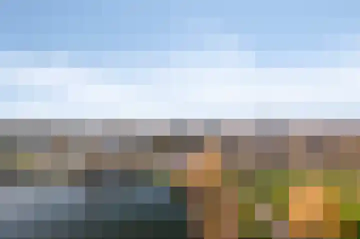 Aalscholversingel 372 Velp thumbnail 10