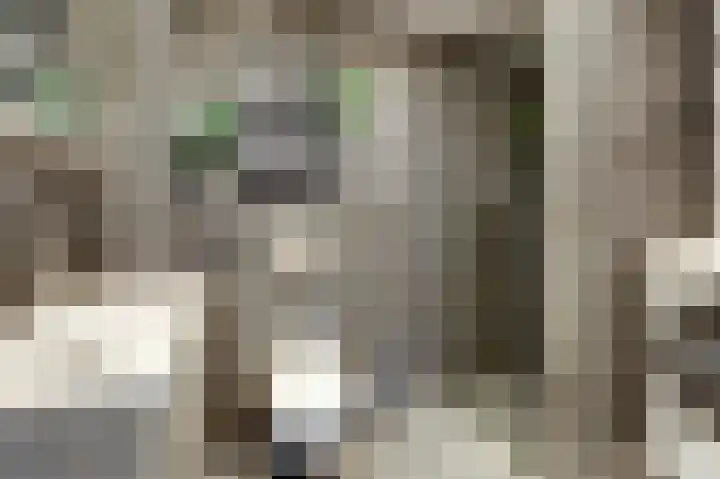 Aalscholversingel 372 Velp thumbnail 17
