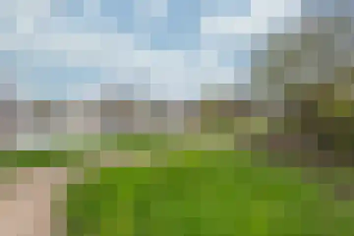 Aalscholversingel 372 Velp thumbnail 22