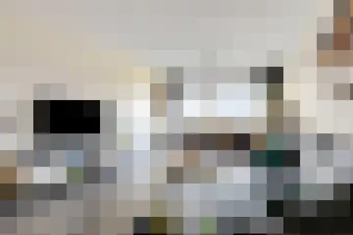 Aalscholversingel 372 Velp thumbnail 6