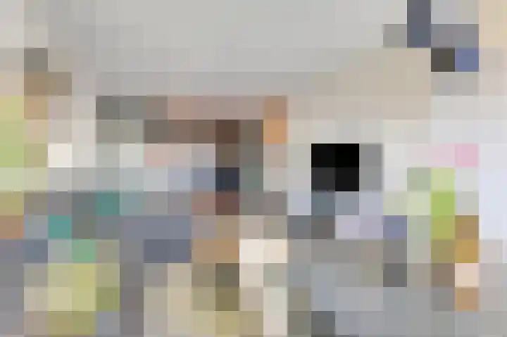 Aalscholversingel 372 Velp thumbnail 7
