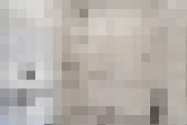 Aalscholversingel 378 Velp thumbnail 18