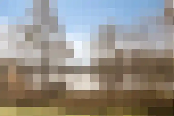 Aalscholversingel 378 Velp thumbnail 25