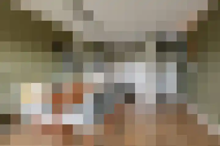 Aalscholversingel 380 Velp thumbnail 11