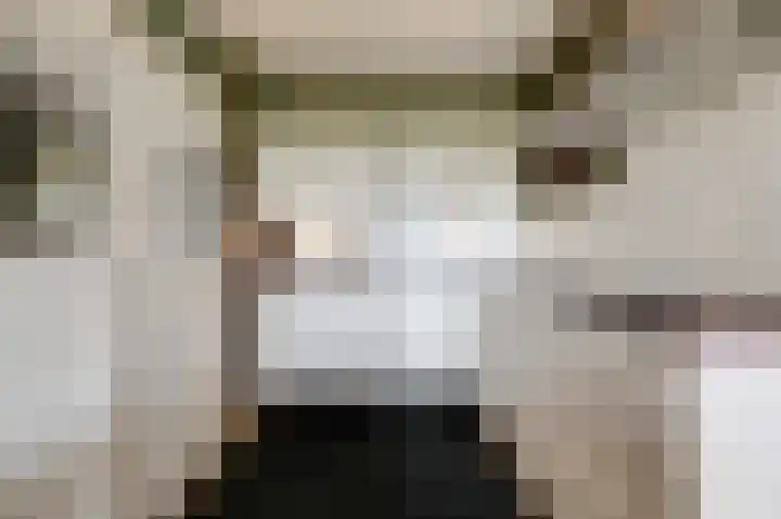 Aalscholversingel 380 Velp thumbnail 12