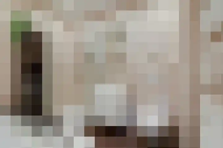 Aalscholversingel 380 Velp thumbnail 15