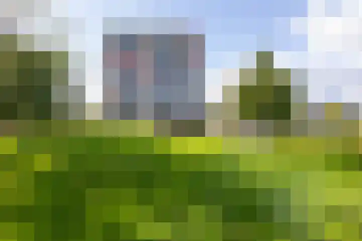 Aalscholversingel 380 Velp thumbnail 19