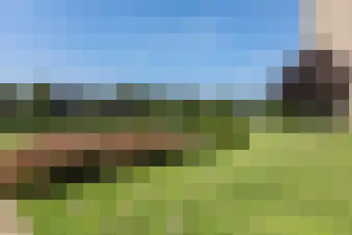 Aalscholversingel 380 Velp thumbnail 20