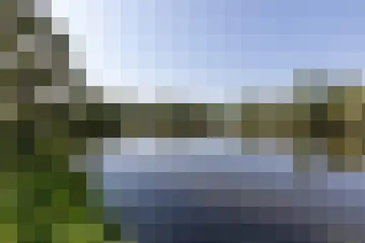 Aalscholversingel 380 Velp thumbnail 21