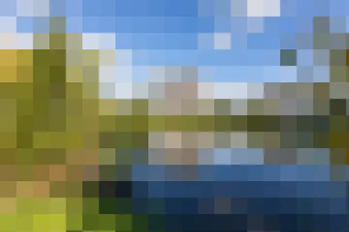 Aalscholversingel 380 Velp thumbnail 22