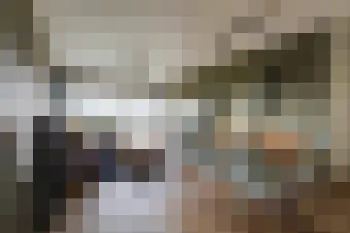 Aalscholversingel 380 Velp thumbnail 24