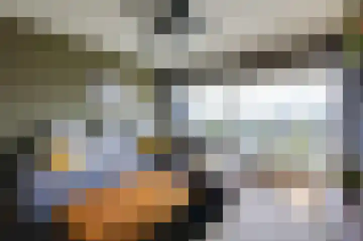 Aalscholversingel 380 Velp thumbnail 27