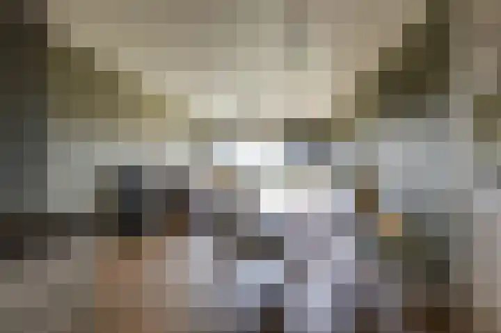 Aalscholversingel 380 Velp thumbnail 29
