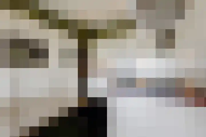 Aalscholversingel 380 Velp thumbnail 30