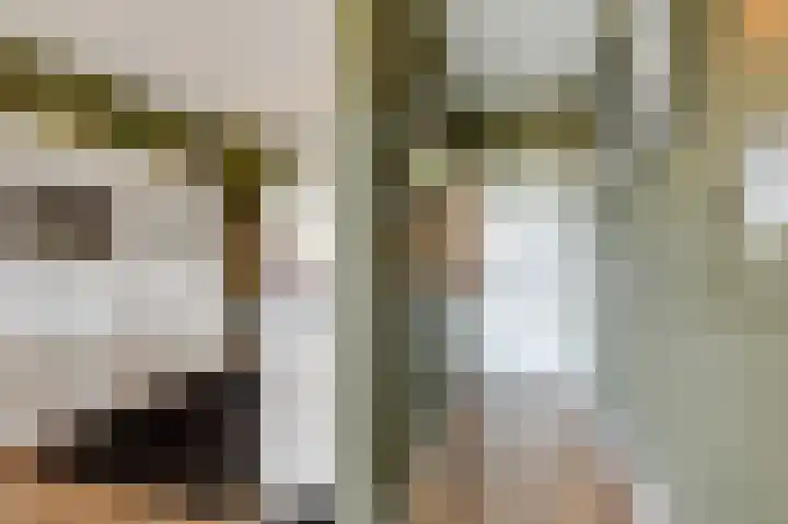 Aalscholversingel 380 Velp thumbnail 31