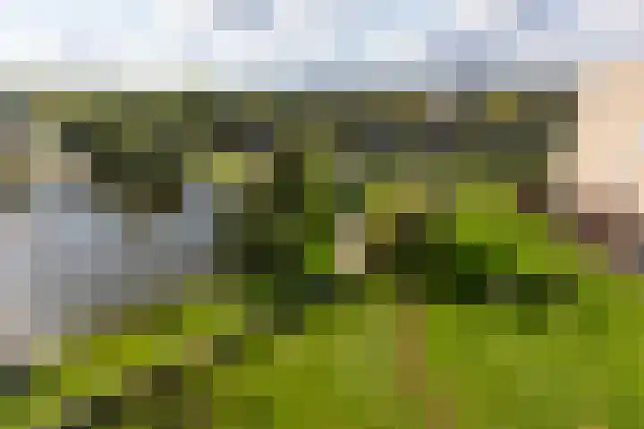 Aalscholversingel 380 Velp thumbnail 33