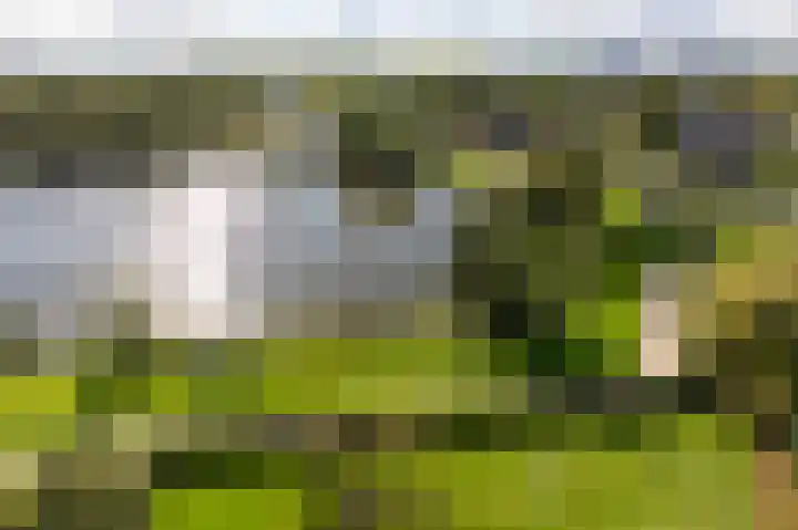 Aalscholversingel 380 Velp thumbnail 34