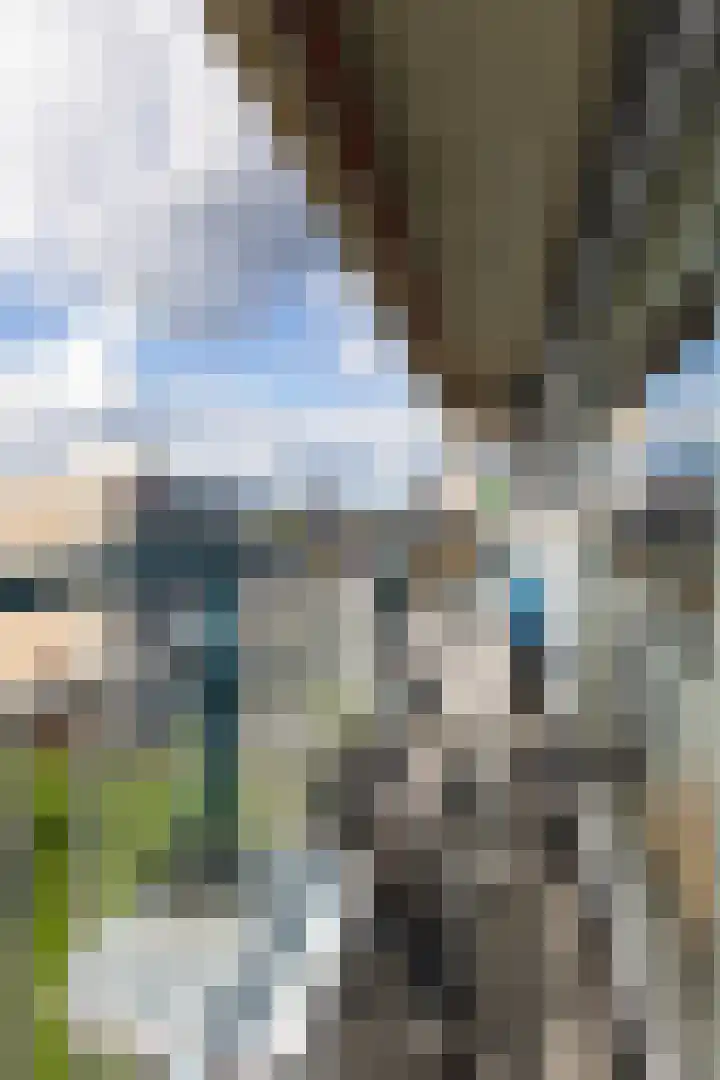Aalscholversingel 380 Velp thumbnail 35