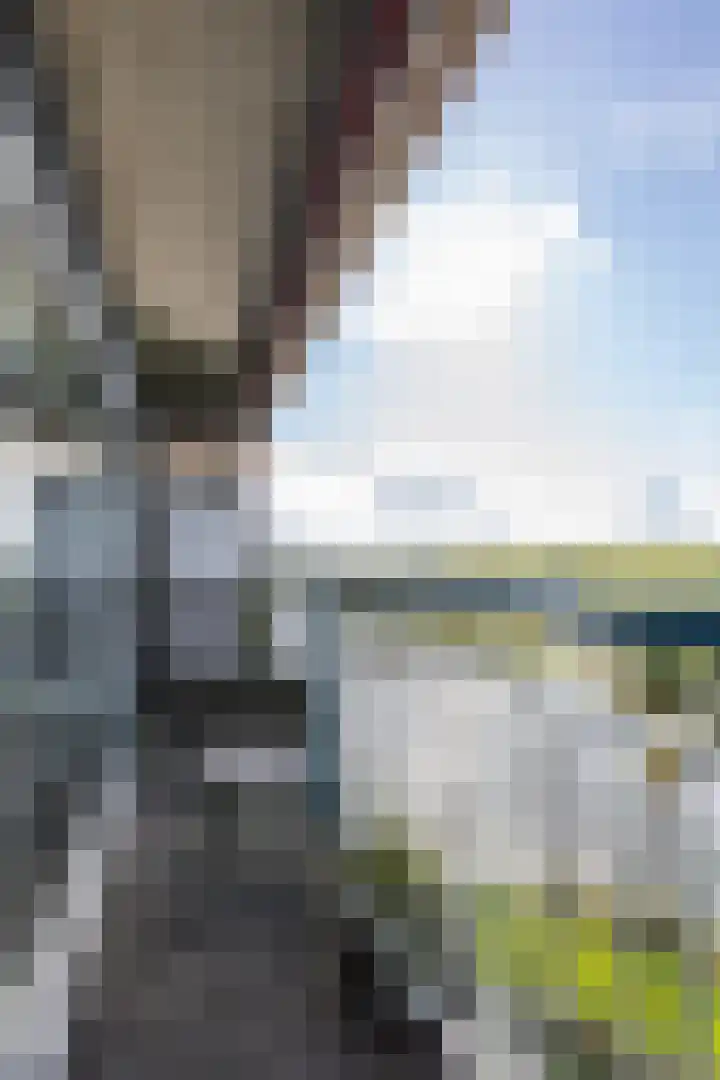 Aalscholversingel 380 Velp thumbnail 36