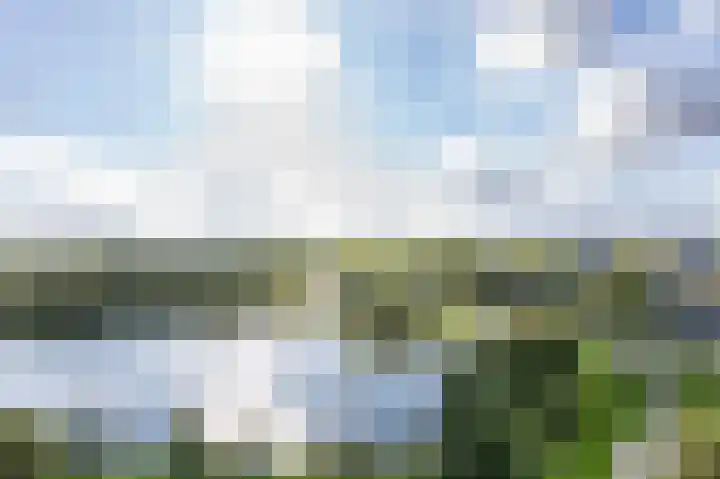 Aalscholversingel 380 Velp thumbnail 38