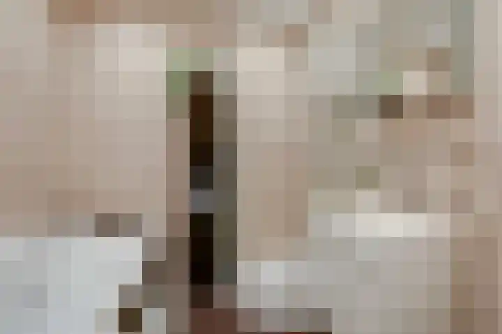 Aalscholversingel 380 Velp thumbnail 42