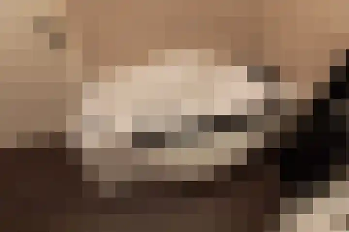 Aalscholversingel 380 Velp thumbnail 43
