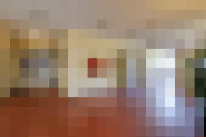 Aalscholversingel 380 Velp thumbnail 48