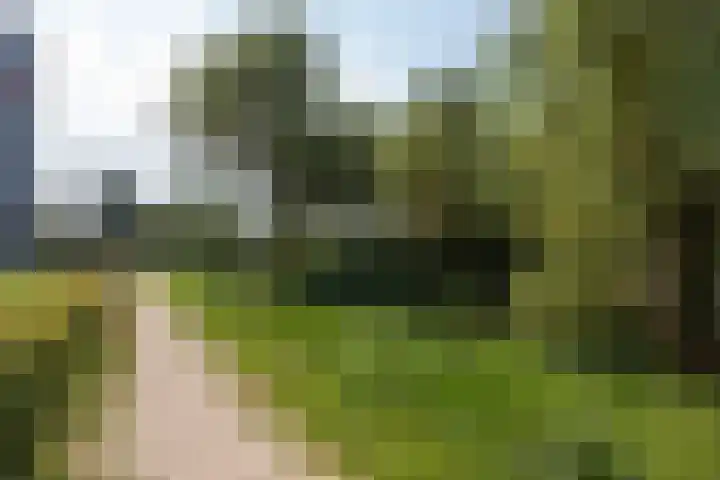 Aalscholversingel 380 Velp thumbnail 51