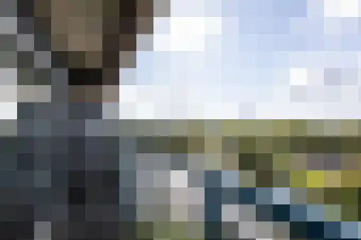 Aalscholversingel 380 Velp thumbnail 7