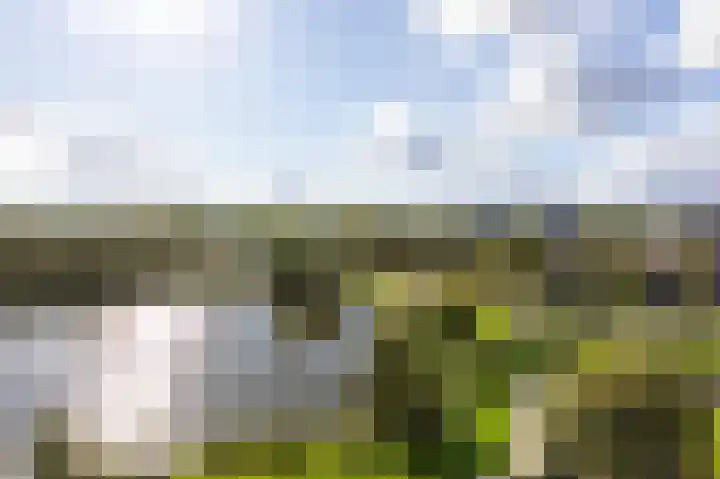Aalscholversingel 380 Velp thumbnail 8