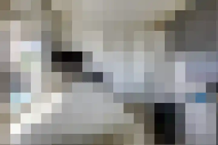 Aalscholversingel 380 Velp thumbnail 9