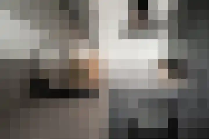 Aalscholversingel 386 Velp thumbnail 21