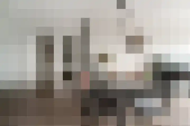 Aalscholversingel 386 Velp thumbnail 22