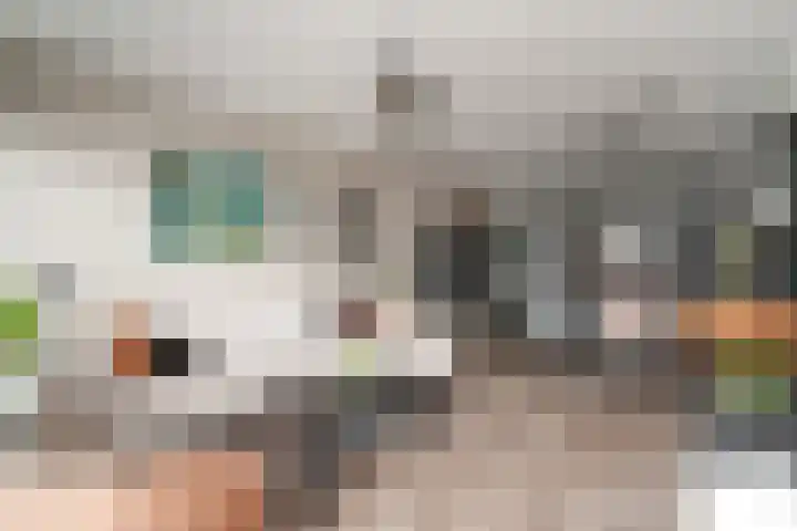 Aalscholversingel 386 Velp thumbnail 4