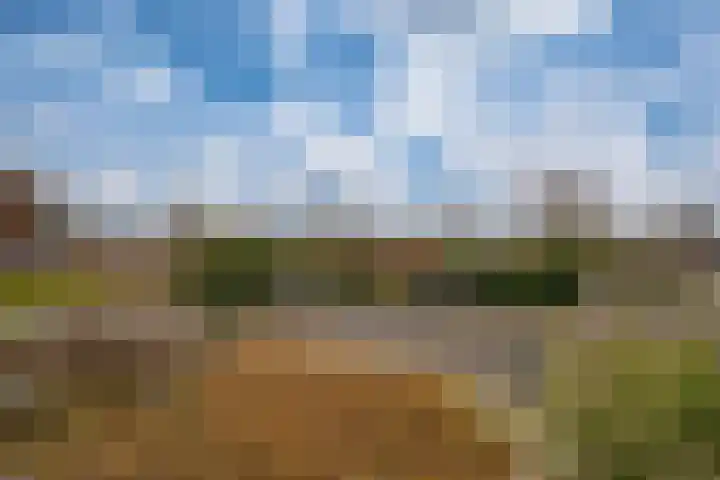 Aalscholversingel 386 Velp thumbnail 48