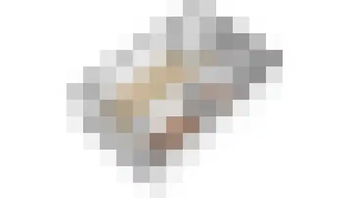Aalscholversingel 386 Velp thumbnail 51
