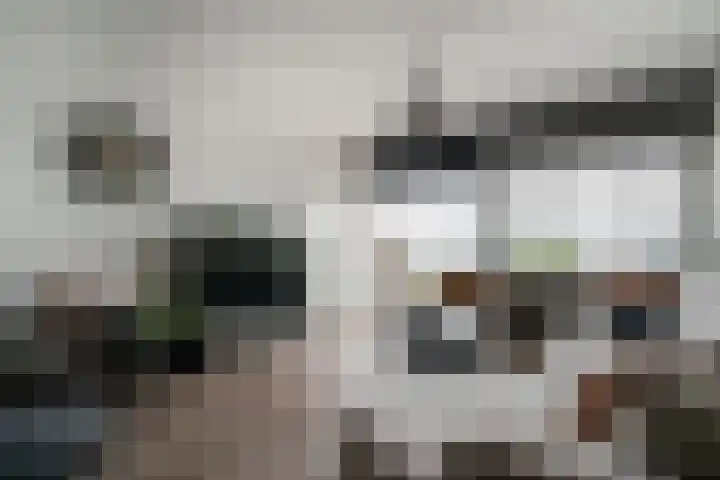 Aalscholversingel 386 Velp thumbnail 8