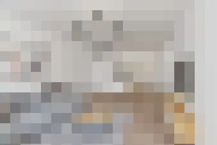 Aalscholversingel 416 Velp thumbnail 12