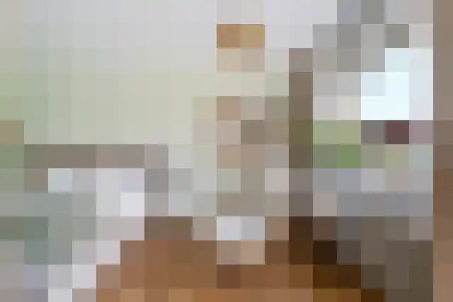 Aalscholversingel 416 Velp thumbnail 15