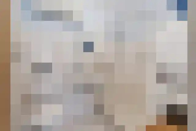 Aalscholversingel 416 Velp thumbnail 19