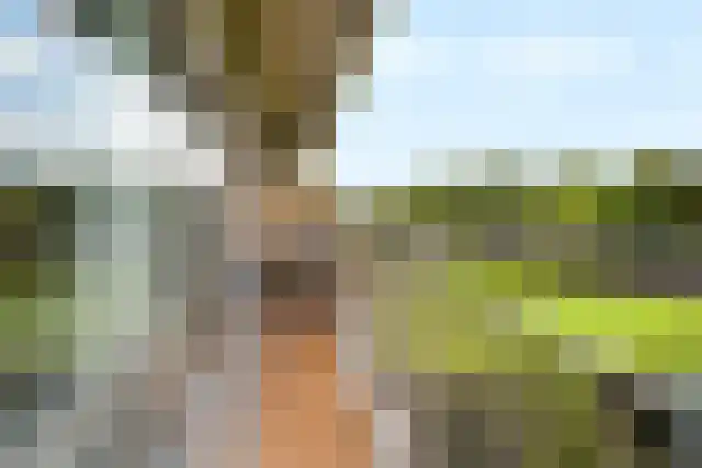 Aalscholversingel 416 Velp thumbnail 23