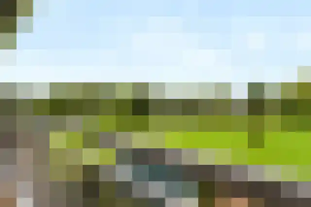 Aalscholversingel 416 Velp thumbnail 24