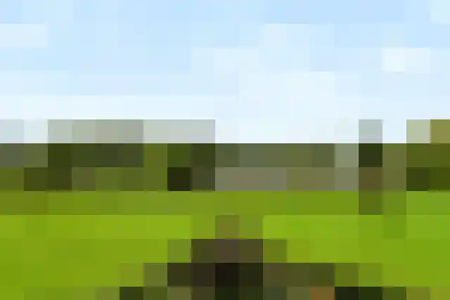 Aalscholversingel 416 Velp thumbnail 27